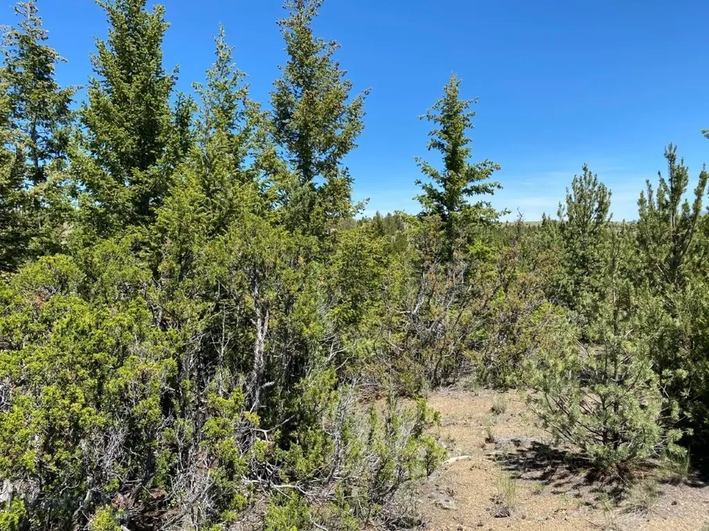 17 Keating Gulch Road Townsend MT 59644