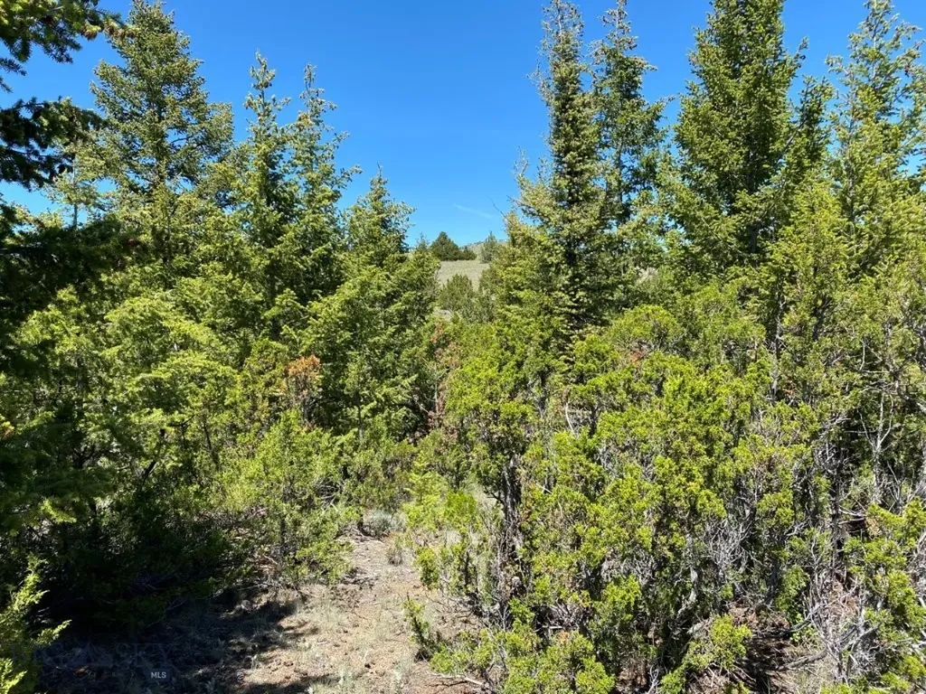 17 Keating Gulch Road Townsend MT 59644