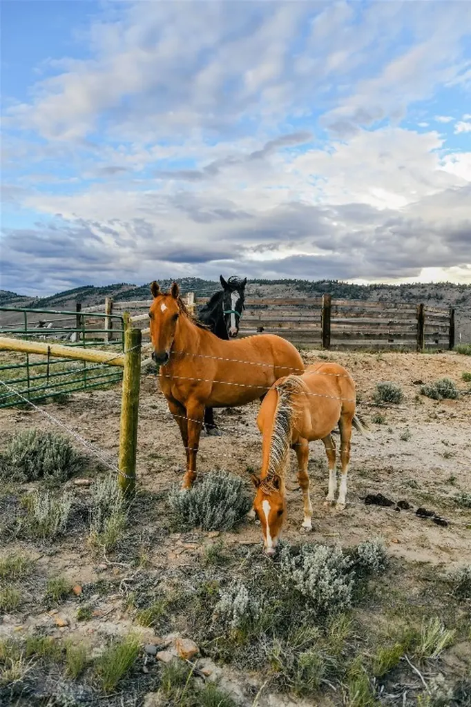 22869 Mt Highway 278 Dillon MT 59725