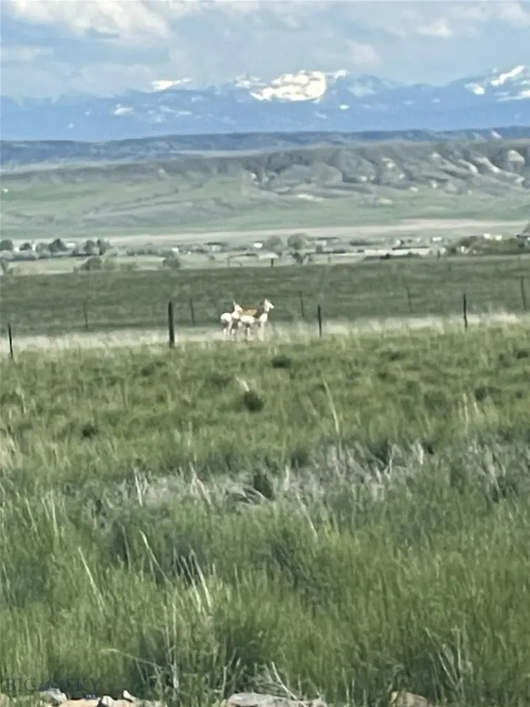 43 Lewis Drive Three Forks MT 59752