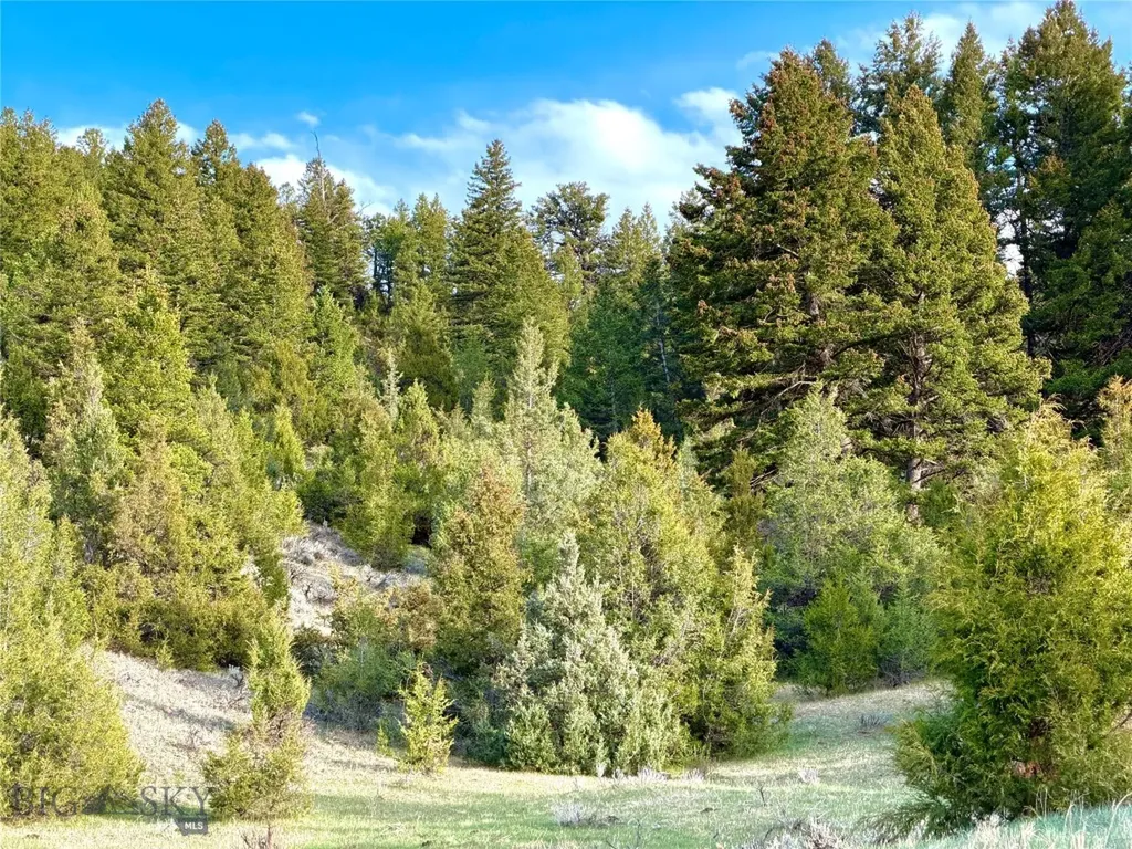 1847 Maudlow Road Belgrade MT 59714