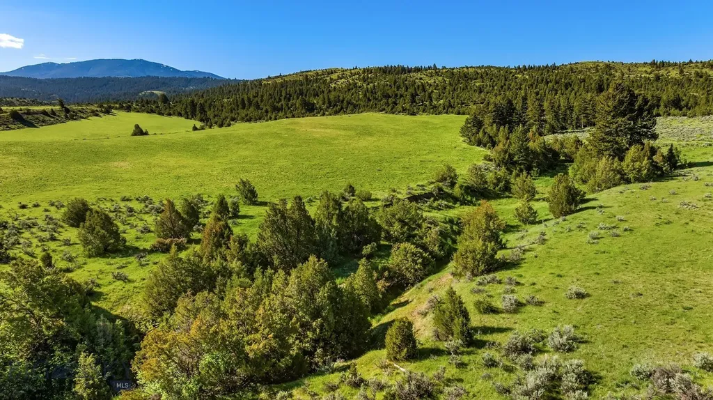 1847 Maudlow Road Belgrade MT 59714