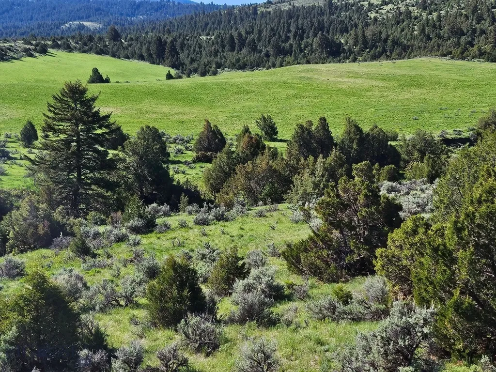 1847 Maudlow Road Belgrade MT 59714