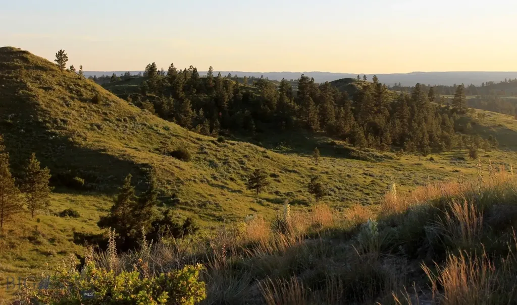 Tbd Lone Rock Canyon Lane Hysham MT 59076