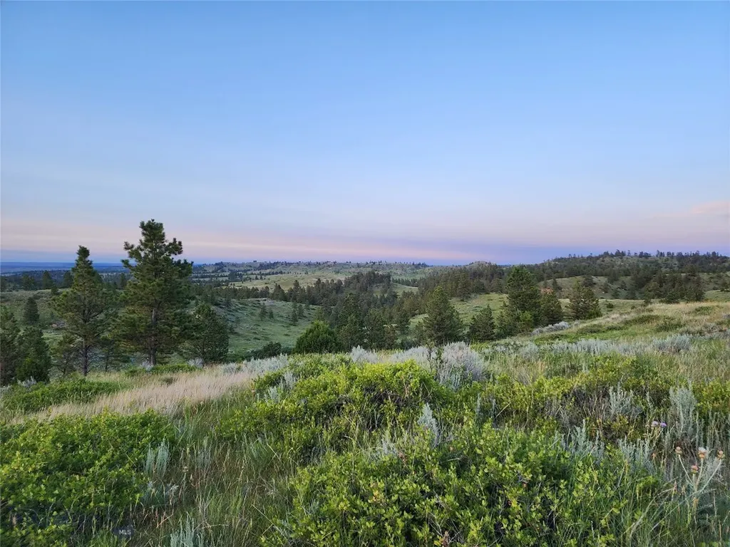 Tbd Lone Rock Canyon Lane Hysham MT 59076