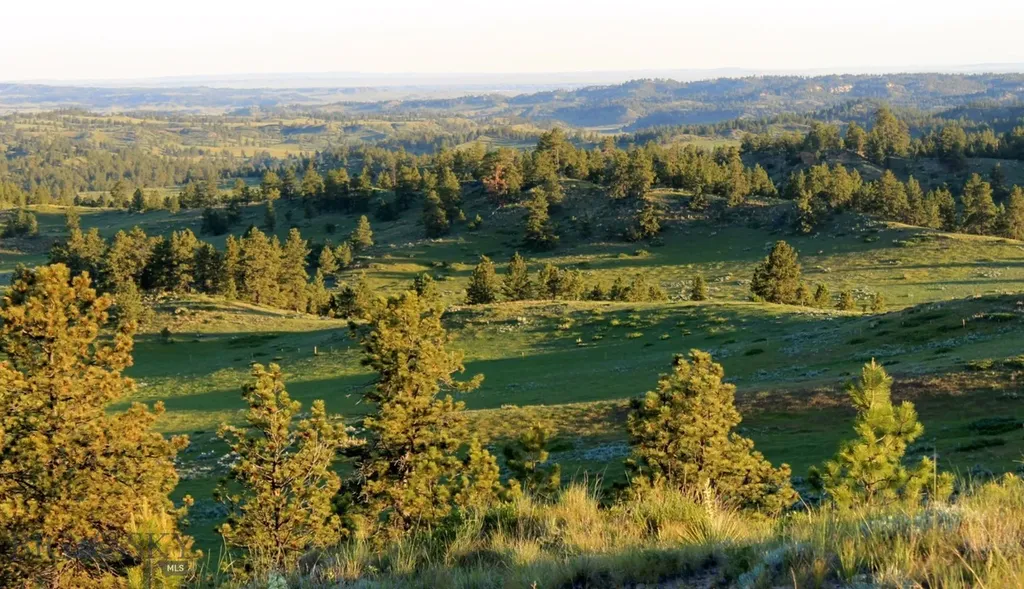 Tbd Lone Rock Canyon Lane Hysham MT 59076