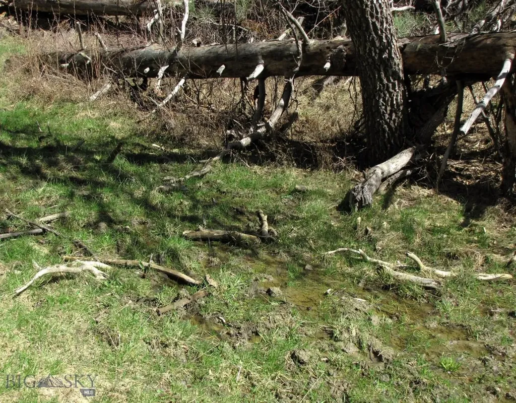 Tbd Lone Rock Canyon Lane Hysham MT 59076