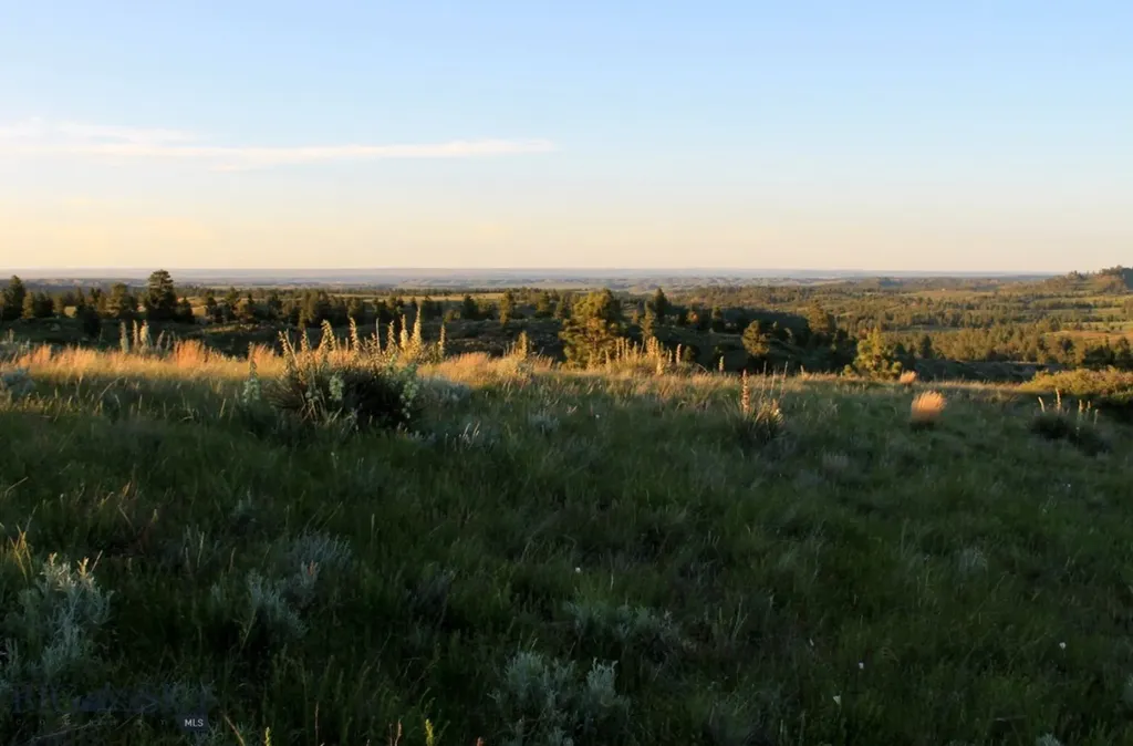 Tbd Lone Rock Canyon Lane Hysham MT 59076