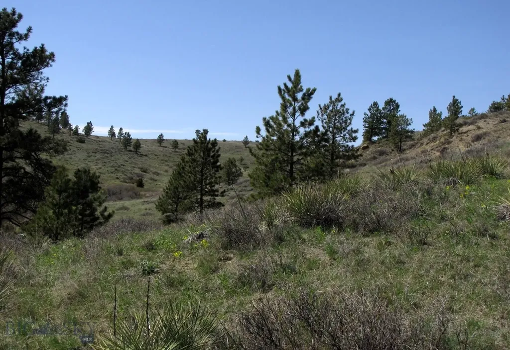 Tbd Lone Rock Canyon Lane Hysham MT 59076