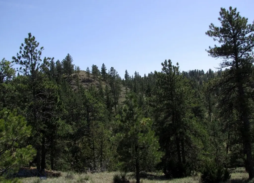 Tbd Lone Rock Canyon Lane Hysham MT 59076