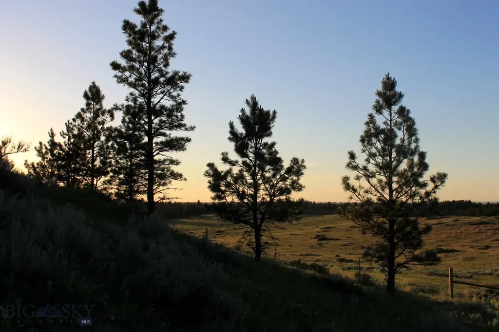 Tbd Lone Rock Canyon Lane Hysham MT 59076
