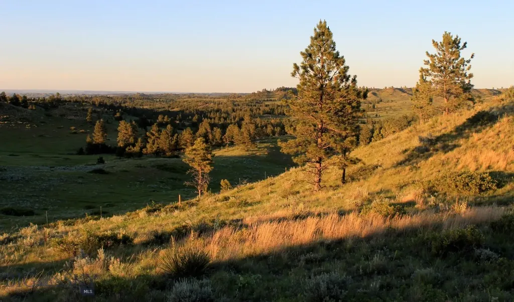 Tbd Lone Rock Canyon Lane Hysham MT 59076