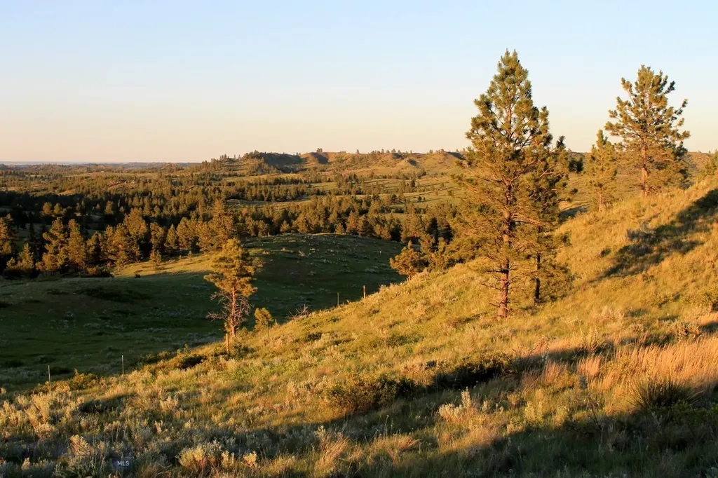 Tbd Lone Rock Canyon Lane Hysham MT 59076