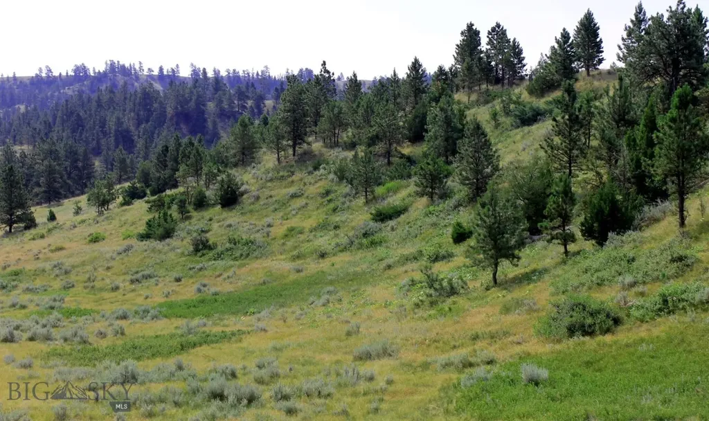 Tbd Lone Rock Canyon Lane Hysham MT 59076