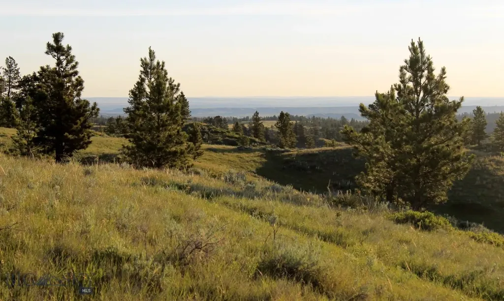 Tbd Lone Rock Canyon Lane Hysham MT 59076