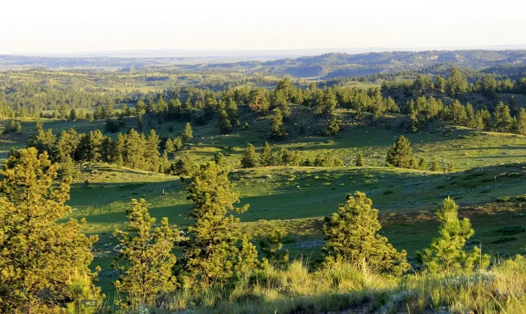 Tbd Lone Rock Canyon Lane Hysham MT 59076
