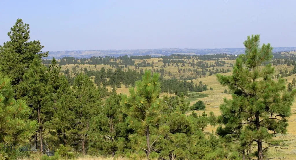 Tbd Lone Rock Canyon Lane Hysham MT 59076