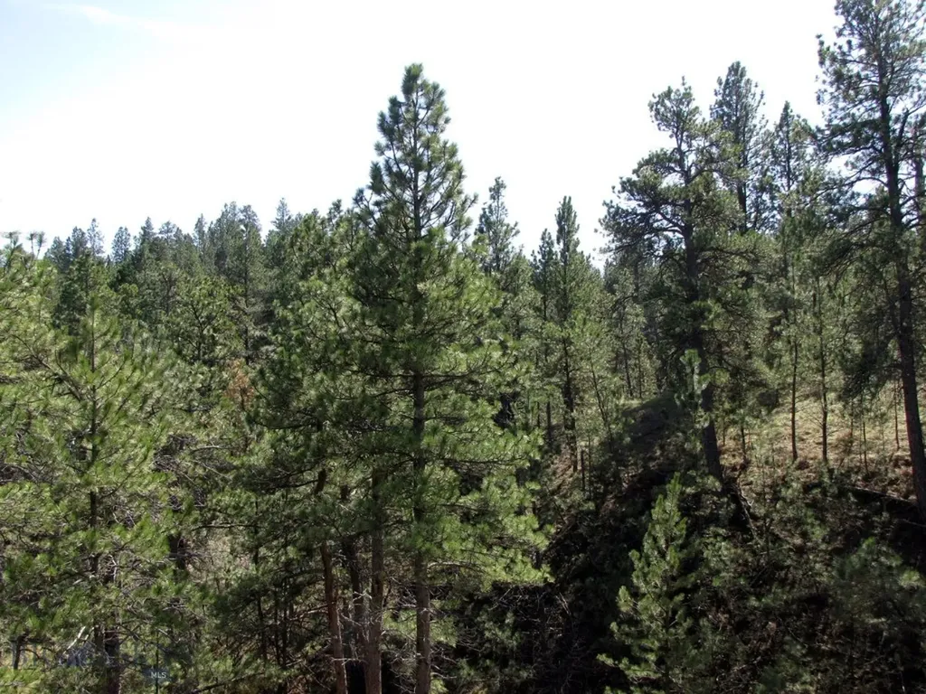 Tbd Lone Rock Canyon Lane Hysham MT 59076