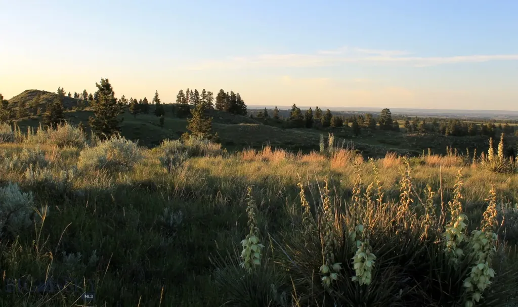 Tbd Lone Rock Canyon Lane Hysham MT 59076