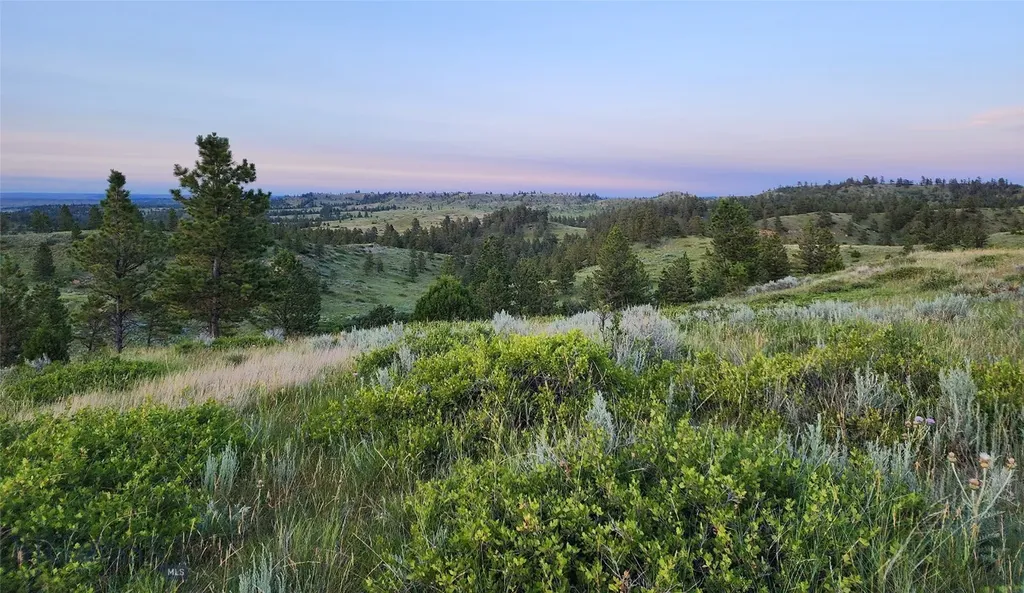 Tbd Lone Rock Canyon Lane Hysham MT 59076