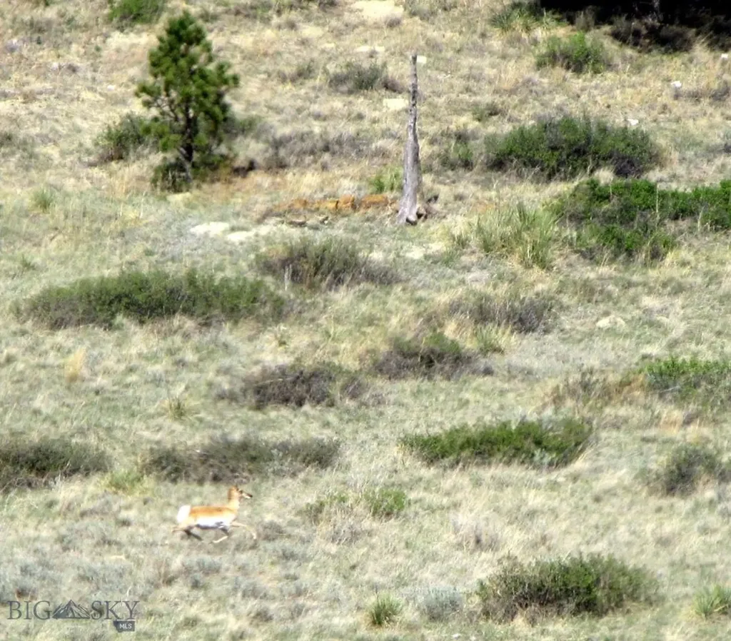 Tbd Lone Rock Canyon Lane Hysham MT 59076