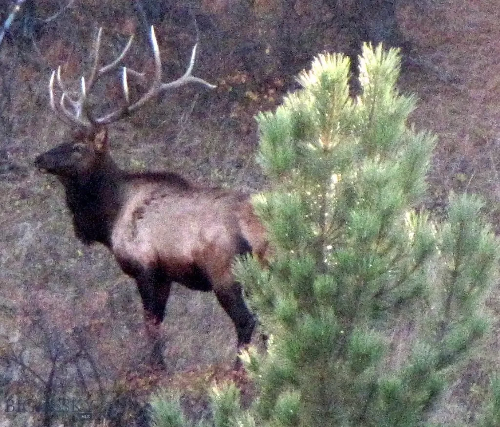 Tbd Lone Rock Canyon Lane Hysham MT 59076