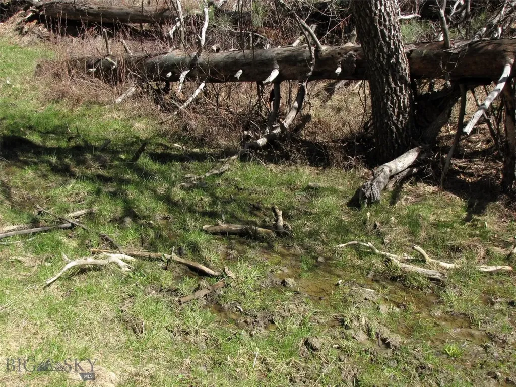 Tbd Lone Rock Canyon Lane Hysham MT 59076