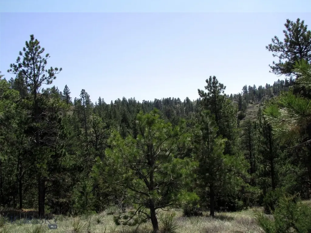 Tbd Lone Rock Canyon Lane Hysham MT 59076