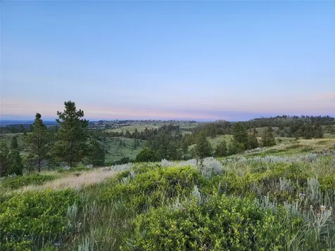 TBD Lone Rock Canyon Lane Hysham MT 59076