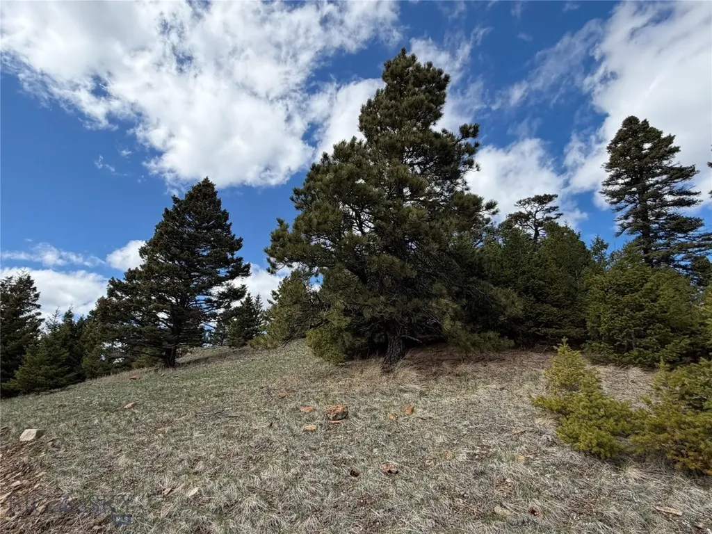 375 Butte Creek Road White Sulphur Springs MT 59645