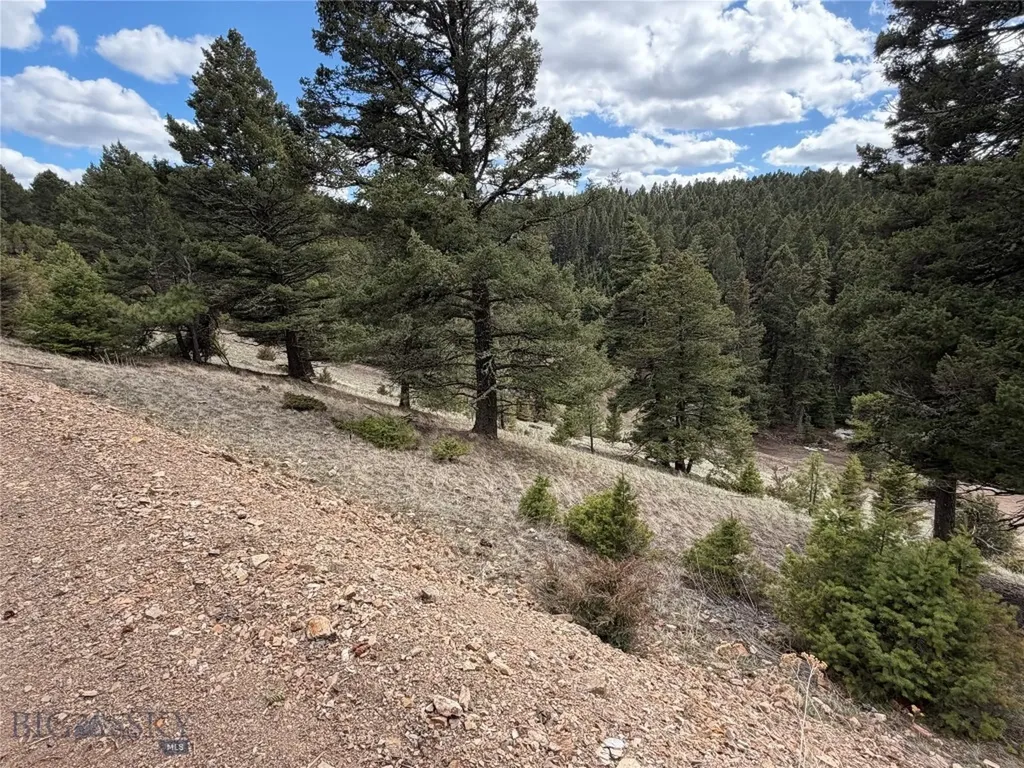 375 Butte Creek Road White Sulphur Springs MT 59645