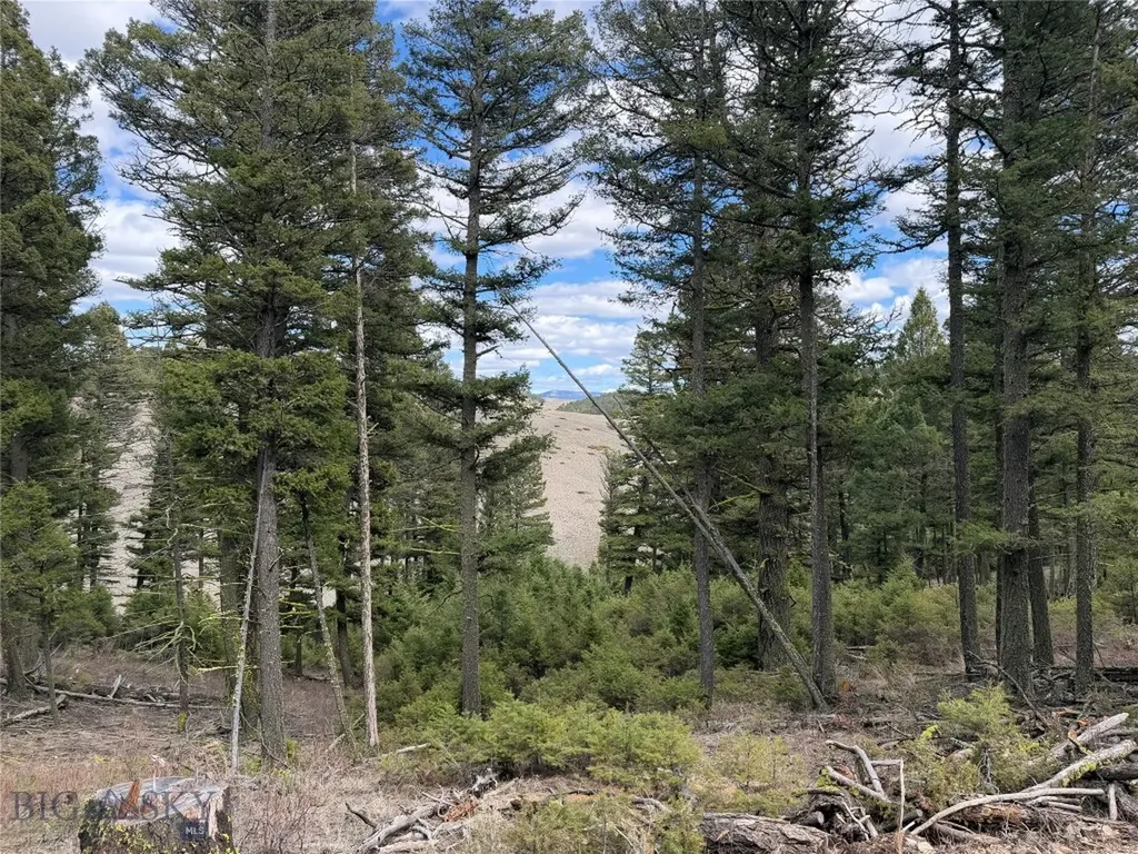 375 Butte Creek Road White Sulphur Springs MT 59645
