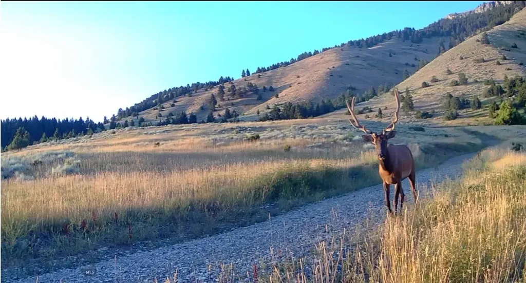 Springhill Vistas Ranch At Four Bar Ranch Belgrade MT 59714
