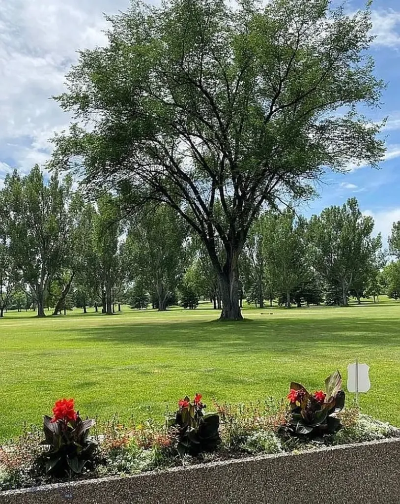 5810 Sam Snead Trail Billings MT 59106