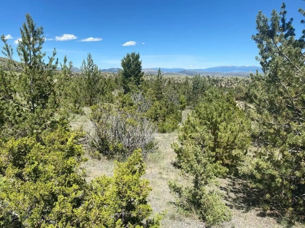 18 Keating Gulch Road Radersburg MT 59641