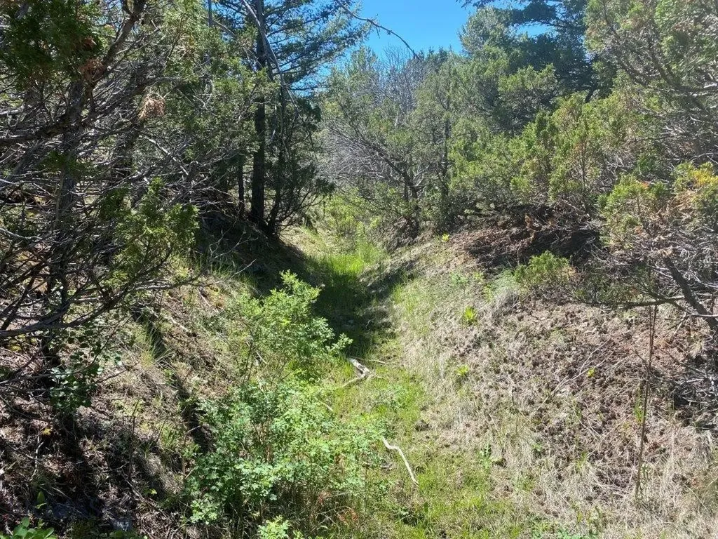 18 Keating Gulch Road Radersburg MT 59641