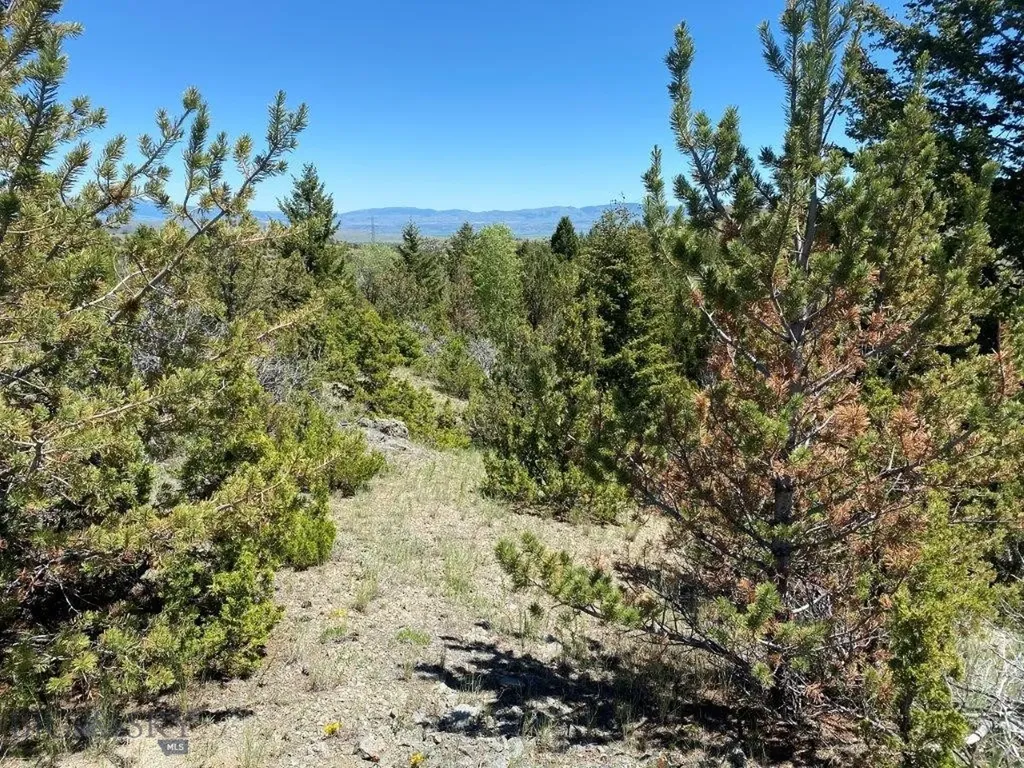 18 Keating Gulch Road Radersburg MT 59641