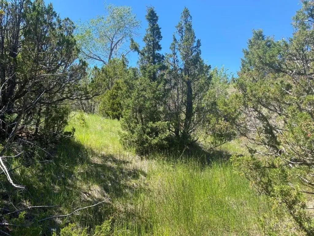 18 Keating Gulch Road Radersburg MT 59641