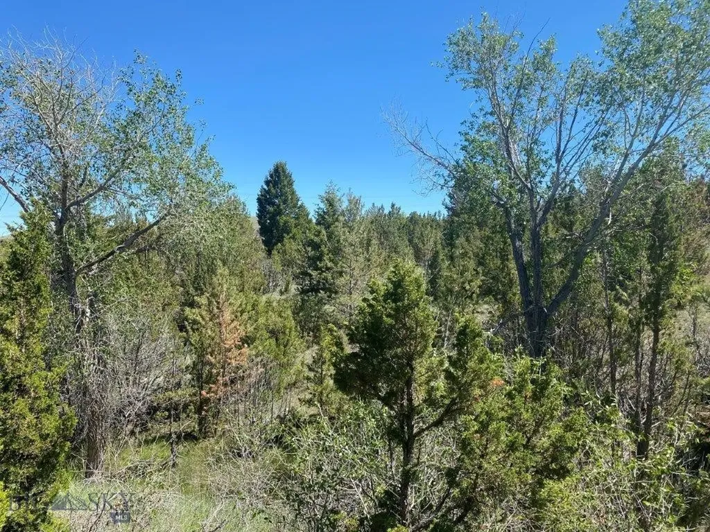 18 Keating Gulch Road Radersburg MT 59641