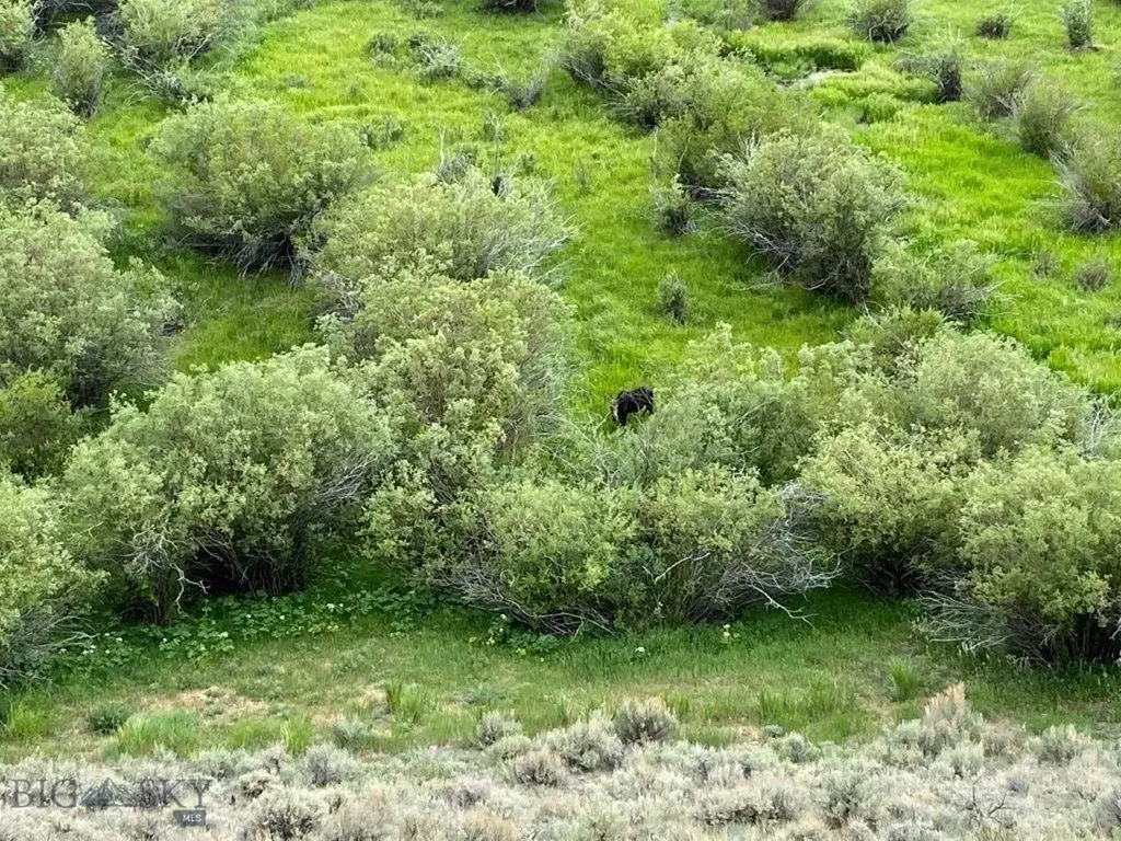 Tbd Camp Creek Road Butte MT 59701