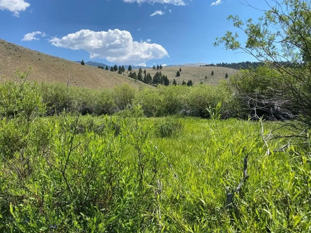 Tbd Camp Creek Road Butte MT 59701