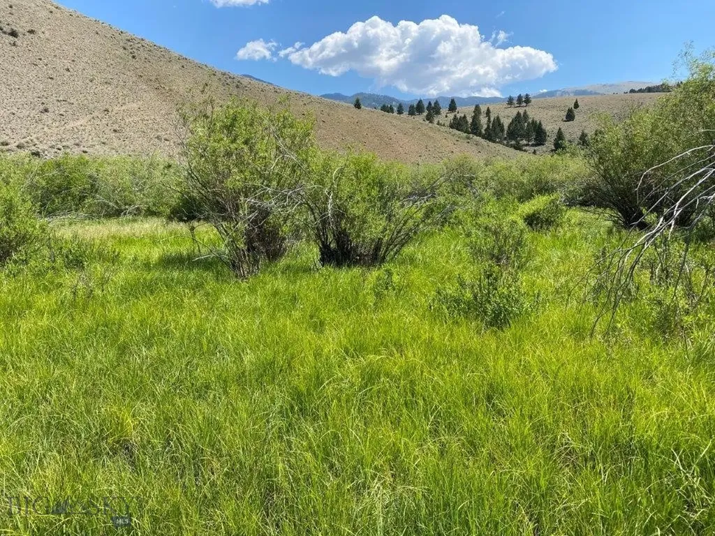 Tbd Camp Creek Road Butte MT 59701