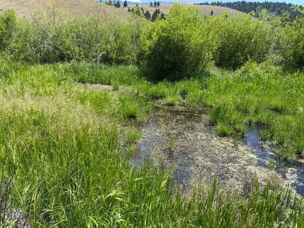 Tbd Camp Creek Road Butte MT 59701