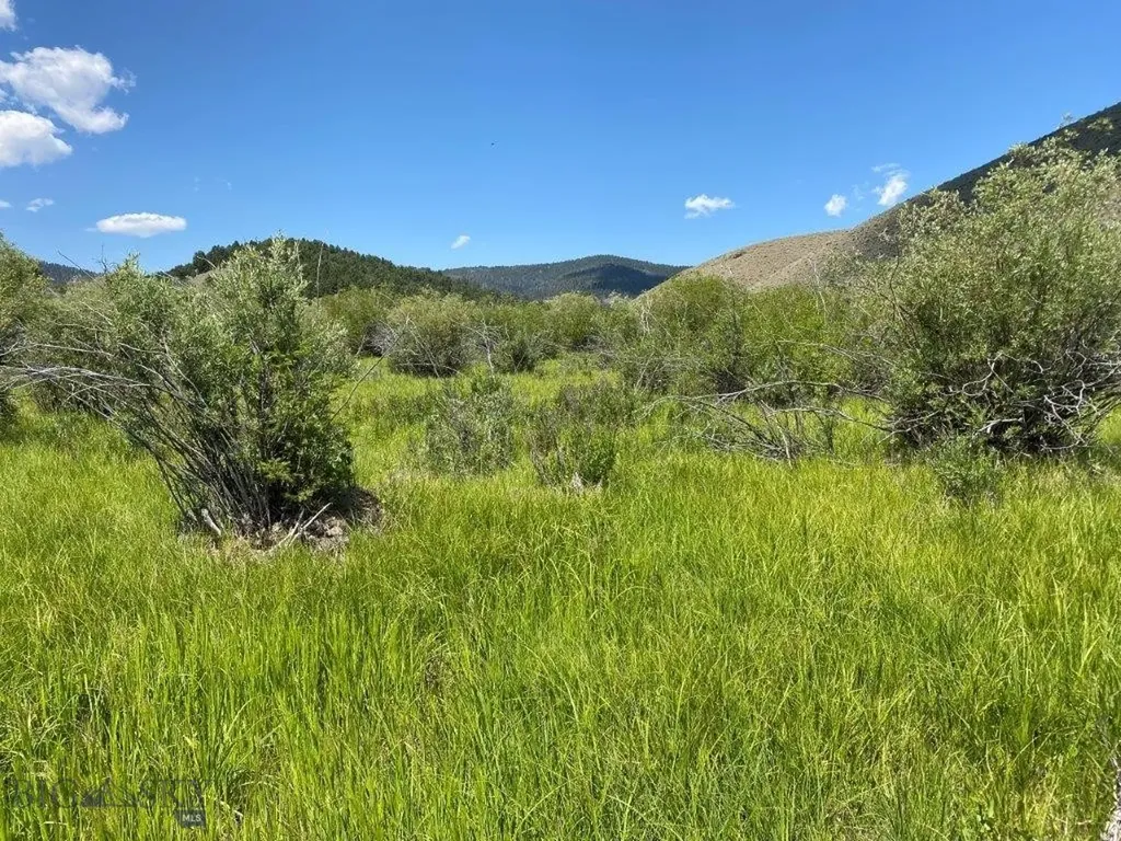 Tbd Camp Creek Road Butte MT 59701