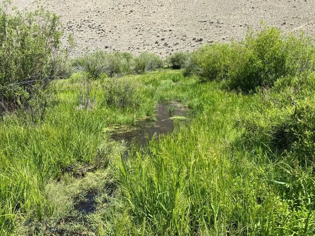 Tbd Camp Creek Road Butte MT 59701