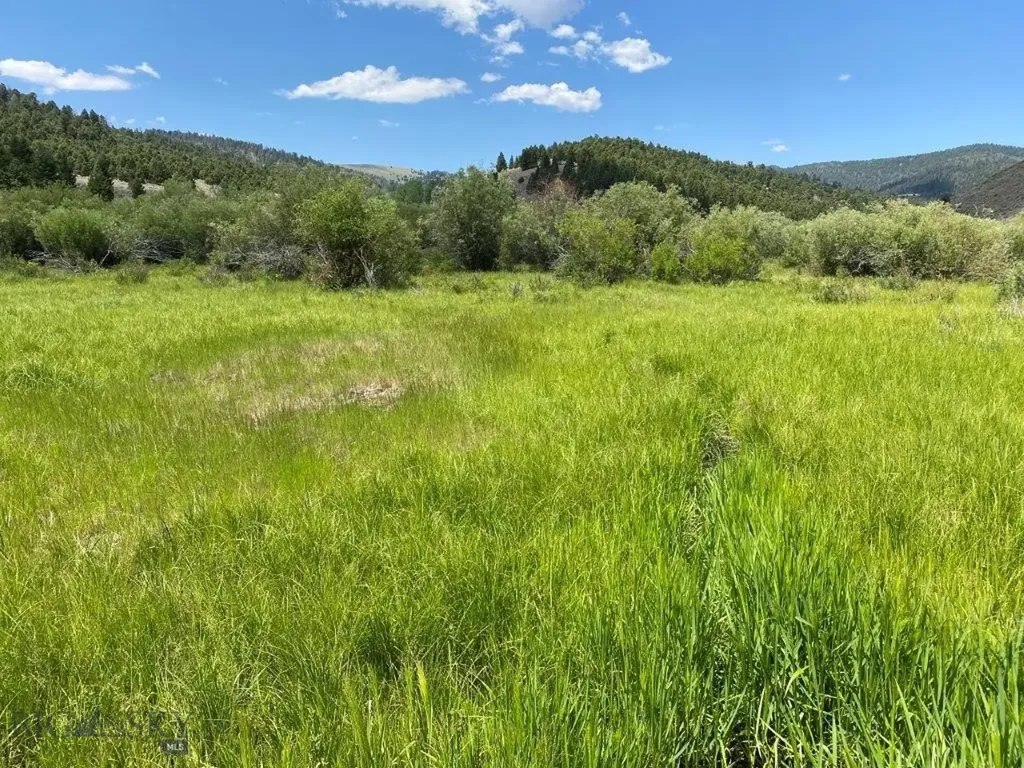 Tbd Camp Creek Road Butte MT 59701