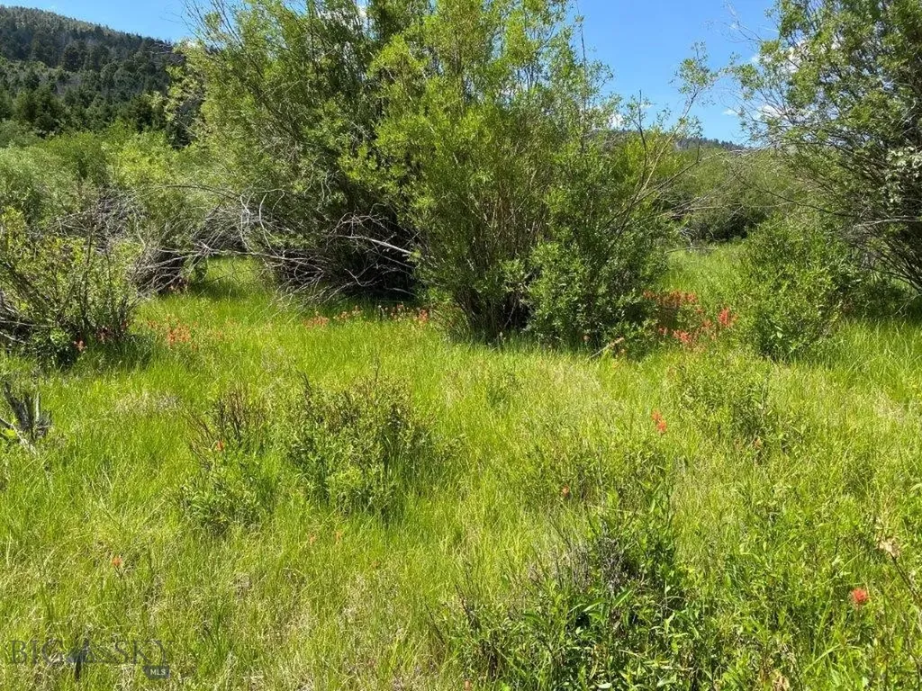 Tbd Camp Creek Road Butte MT 59701