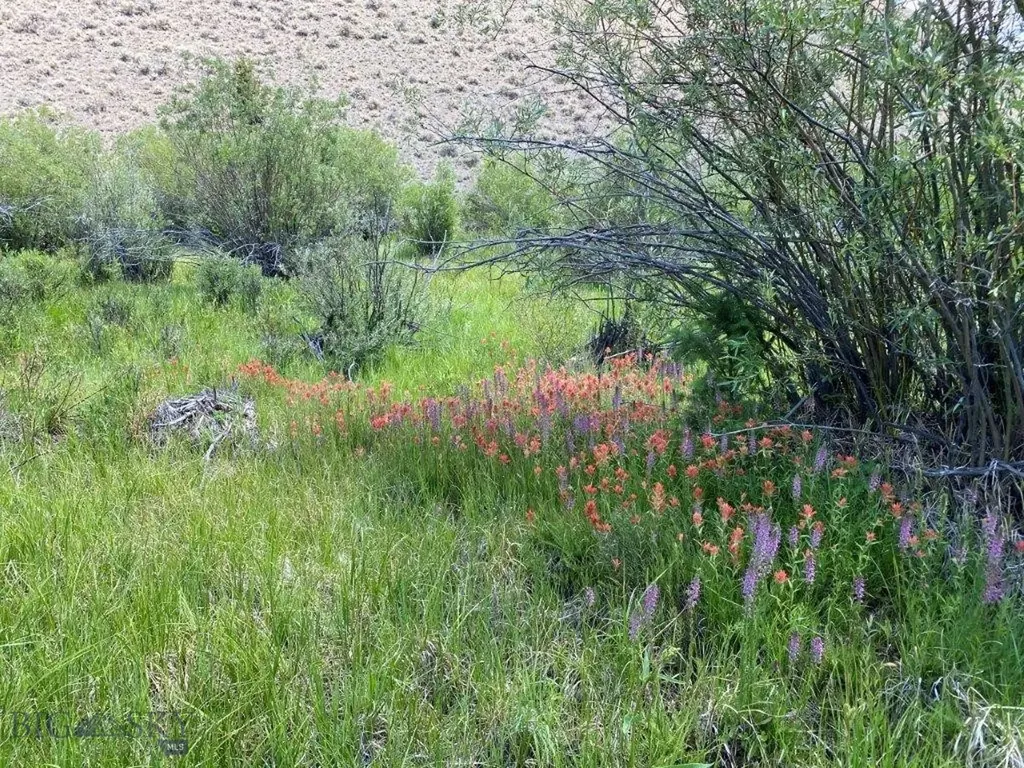 Tbd Camp Creek Road Butte MT 59701