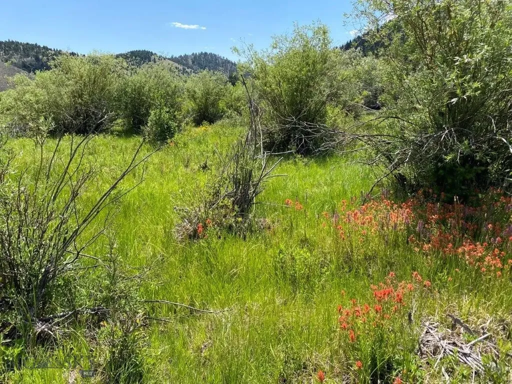 Tbd Camp Creek Road Butte MT 59701