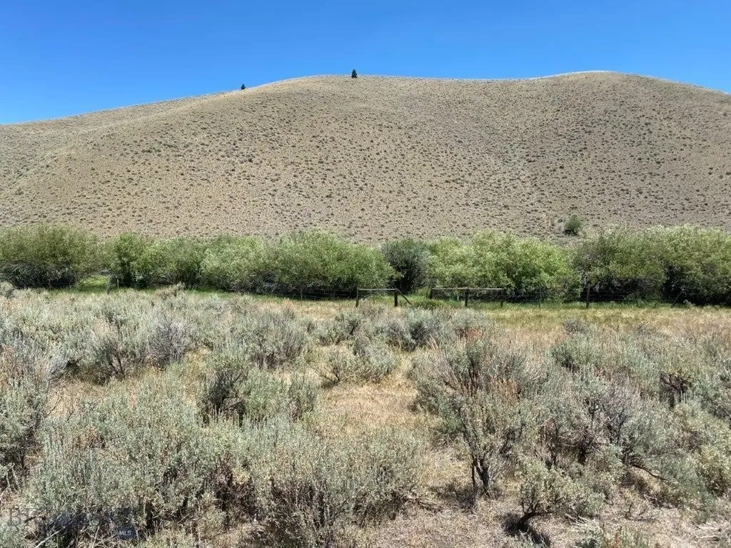 Tbd Camp Creek Road Butte MT 59701